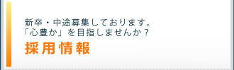 採用情報